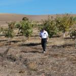 cambria2012_0051 (November 02, 2012)